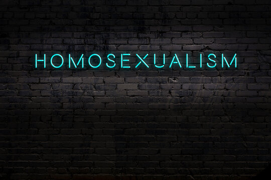 Homosexualita